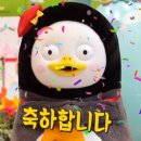 고운빛깔 이미지
