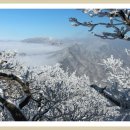 (주)삼정주유소 이미지