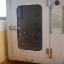 다운애견 이미지