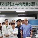 알파동물병원 이미지