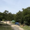 만물농장 이미지