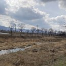 두원목장 이미지