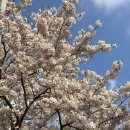 서호동-19 이미지