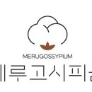 사회적협동조합피움 이미지