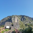 제주의 사색 이미지