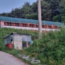 진격농장 이미지