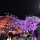 수안보온천길 이미지