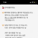 인플라워 이미지