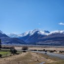 푸른솔목장 | 뉴질랜드 남섬의 대자연 속으로: 후커 밸리 트랙 &amp; 태즈먼 빙하, 그리고 푸카키 호수의 연어회까지