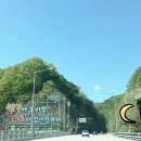 국토관리소 앞 네이버블로그