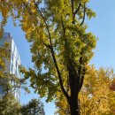 월하 정동 이미지