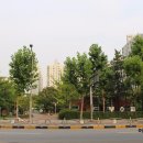 수지 놀이터 이미지