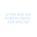 윤결의원 이미지
