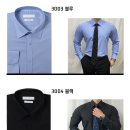 포시즌셔츠 이미지