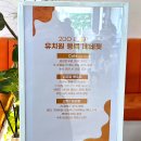 청담유치원 | 청담 애견카페 애견유치원 2도라운지 내돈내산 후기