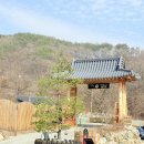 151 | 강원도 홍천 대형 한옥카페 아이와 함께 디저트 맛집 길151 후기