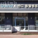 반디 동물병원 이미지