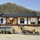 풀솜할머니 이미지