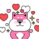 케이노바테일러 이미지