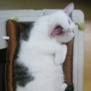 꾸름 이미지