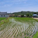 안동권씨 열녀각 이미지