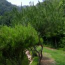 for you부동산공인중개사사무소 이미지