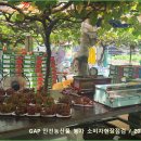 미르안전