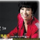 성*채 이미지