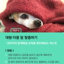 코랜 이미지