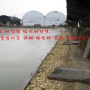 대명양어장 네이버블로그
