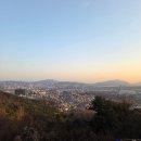 하늘숲 | 남산 하늘숲길 후기｜서울 데이트 산책코스 추천 (Namsan Sky Forest Trail)