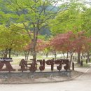 소금강자동차야영장 이미지