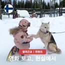 발토(BALTO) | 넷플릭스 명작 영화 토고 OTT 보는곳? 실화 기반 가족 영화 추천