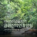 제39회 라면음악회 | 거창 금원산자연휴양림 계곡 아이와 당일치기 물놀이 재방문 후기 대구 근교 가볼만한곳
