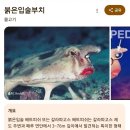 빨간입술 - 미추홀구 경원대로 848 | 빨간입술