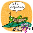한강동물약품 이미지