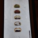 공차하남