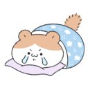 복돌네민박 이미지