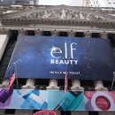 E.F.E 이미지