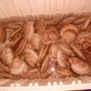 흥농종묘대리점 이미지