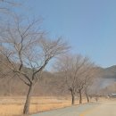 상대동 큰섬마을 작은도서관 | 무주 여행(2026.2.19.~2.21.)