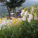 더케이호텔경주 이미지