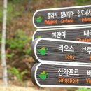 아세안자연휴양림 이미지