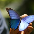 고유종농장 이미지