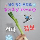 순수의 시대 이미지