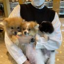 제이샾 이미지