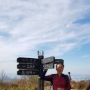 트렉스타광주