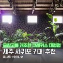 대정-5 | 제주 서귀포 카페 크래커스 대정점 메뉴 가격 귤창고를 개조한 분위기 좋은 커피 맛집
