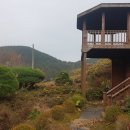 예쁜집좋은땅공인중개사사무소 이미지