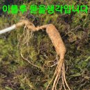 매니아카페